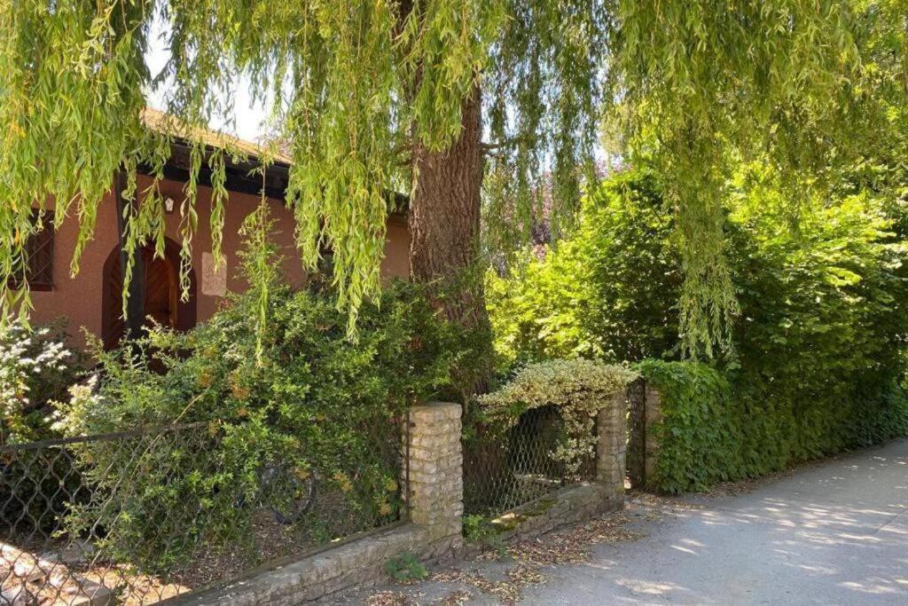 Gartenwohnung 5 Min. Zur Stadt Hagenau Buitenkant foto